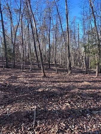 3 Acres of Residential Land for Sale in Blue Ridge, Georgia