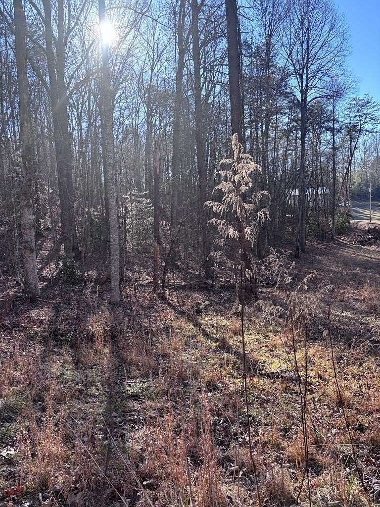 1.74 Acres of Residential Land for Sale in Blue Ridge, Georgia