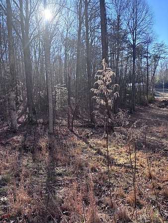 1.74 Acres of Residential Land for Sale in Blue Ridge, Georgia