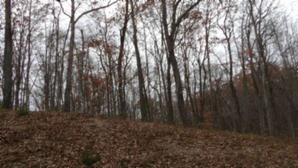 5 Acres of Residential Land for Sale in Monterey, Tennessee