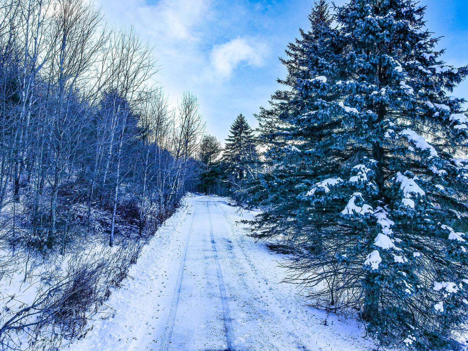 4.2 Acres of Land for Sale in Windham, New York