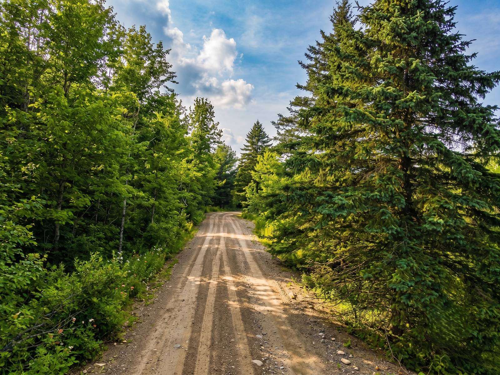 4.2 Acres of Land for Sale in Windham, New York