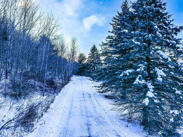 4.2 Acres of Land for Sale in Windham, New York