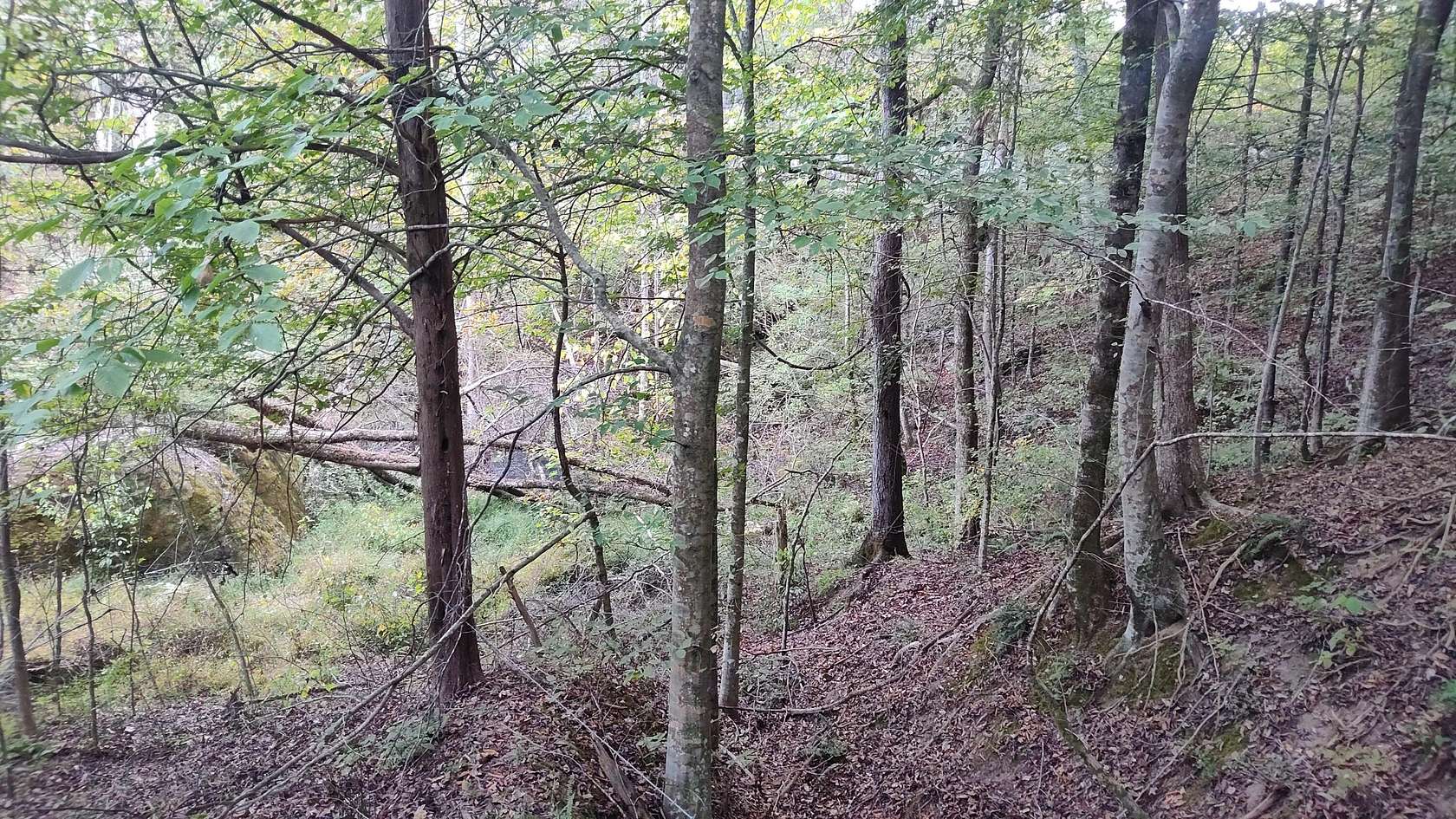 8.56 Acres of Residential Land for Sale in Jasper, Tennessee