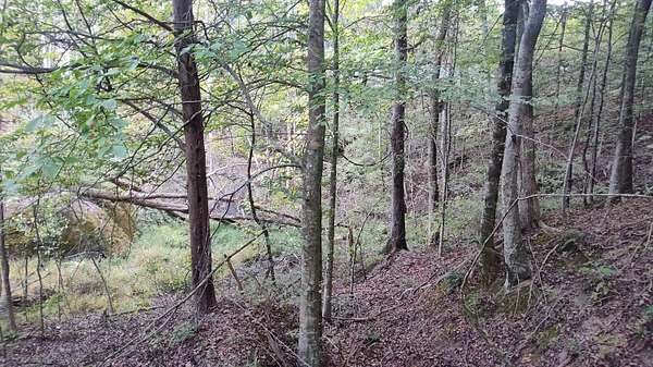 8.56 Acres of Residential Land for Sale in Jasper, Tennessee
