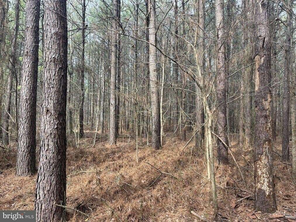19 Acres of Recreational Land for Sale in Mardela Springs, Maryland