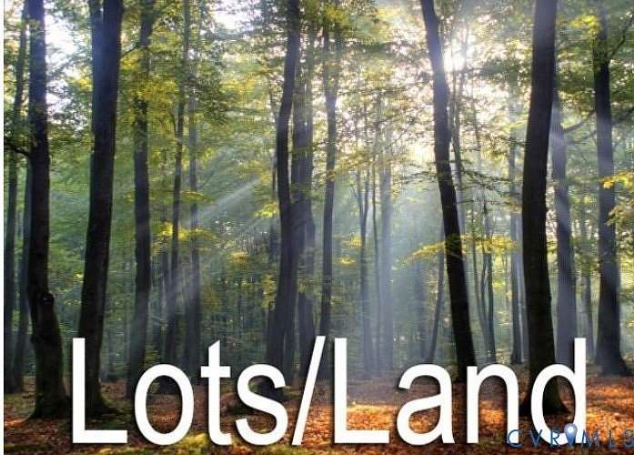 20 Acres of Recreational Land for Sale in Boydton, Virginia