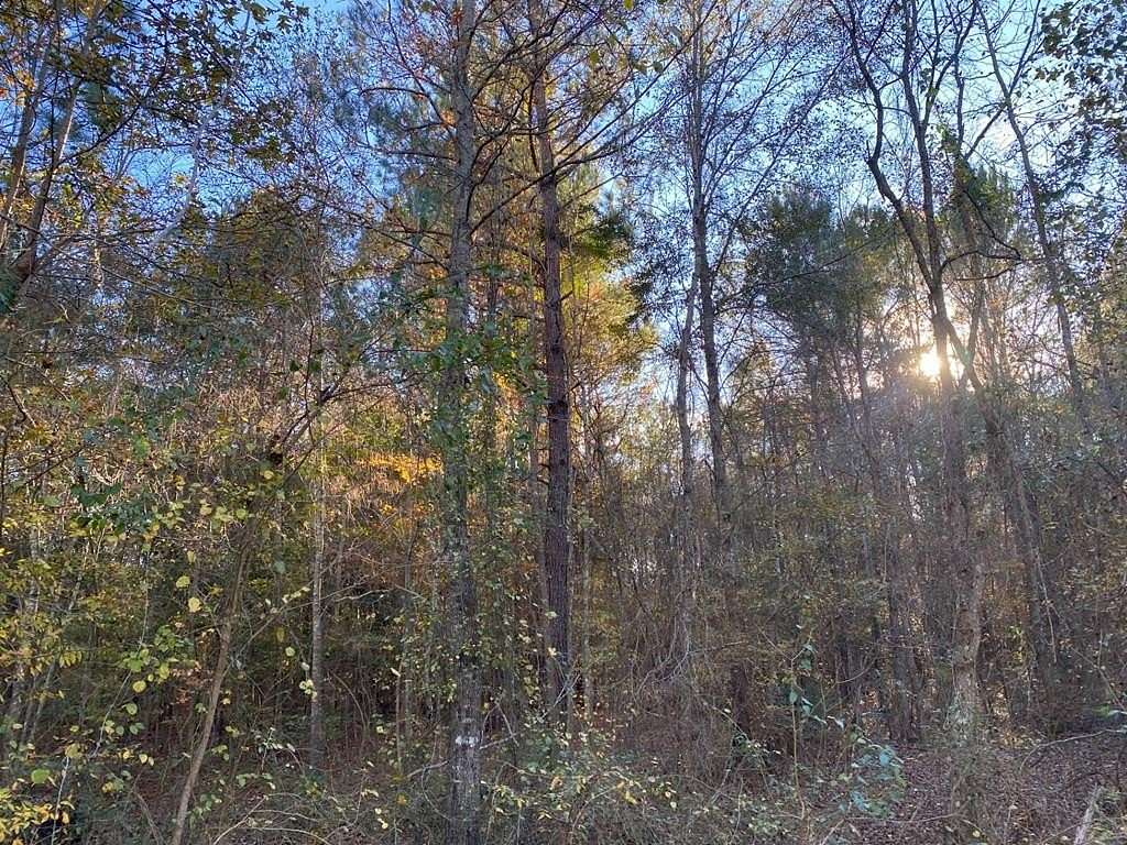 0.13 Acres of Land for Sale in Huntington, Texas