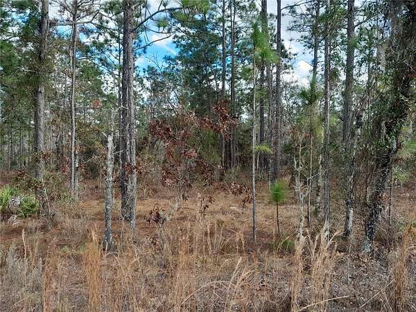 0.23 Acres of Residential Land for Sale in Williston, Florida