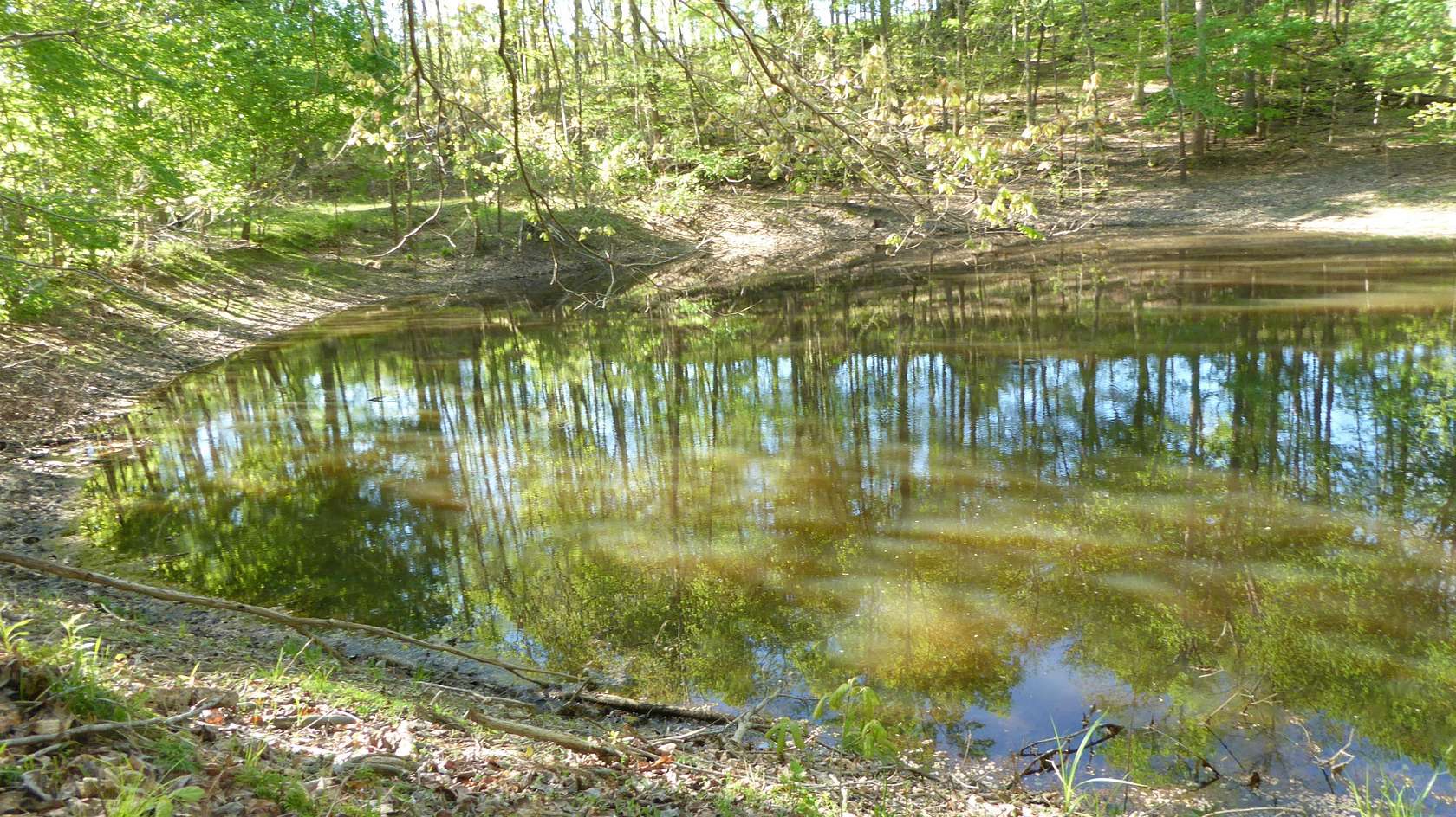 5.18 Acres of Land for Sale in Martinsville, Virginia