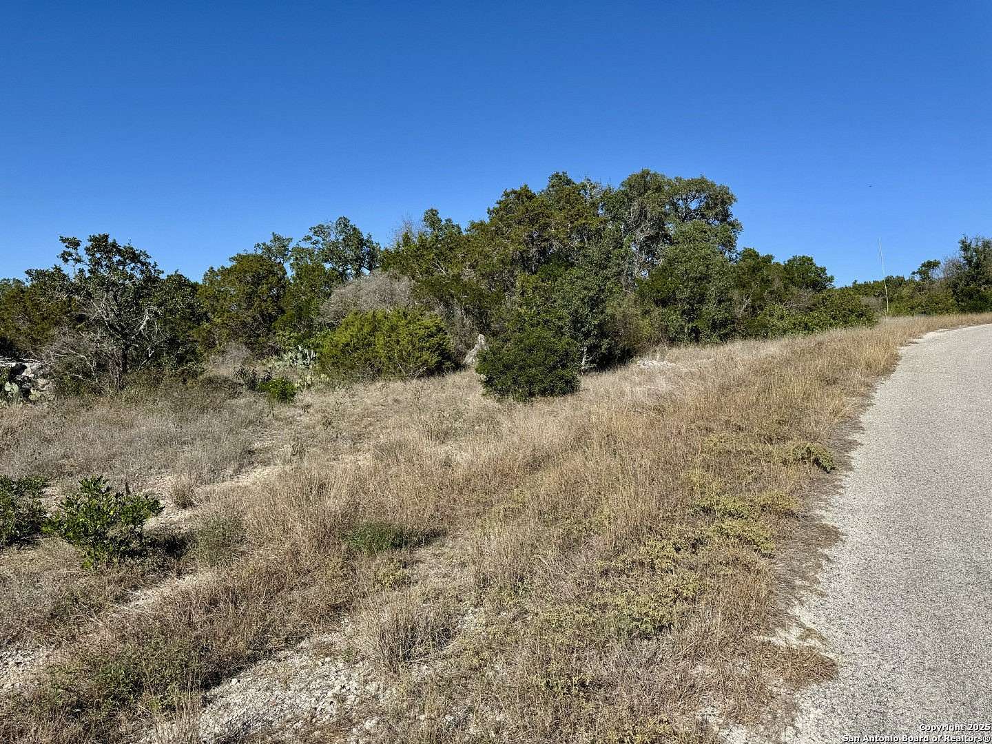 2 Acres of Residential Land for Sale in Mico, Texas