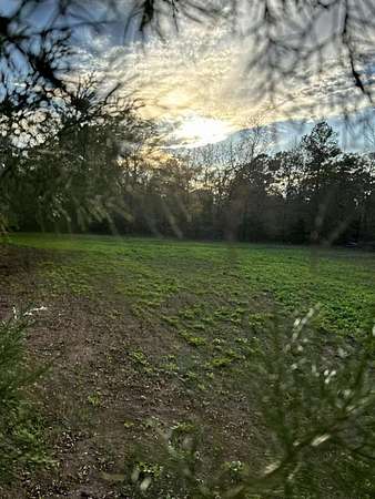 33.7 Acres of Land for Sale in Luthersville, Georgia