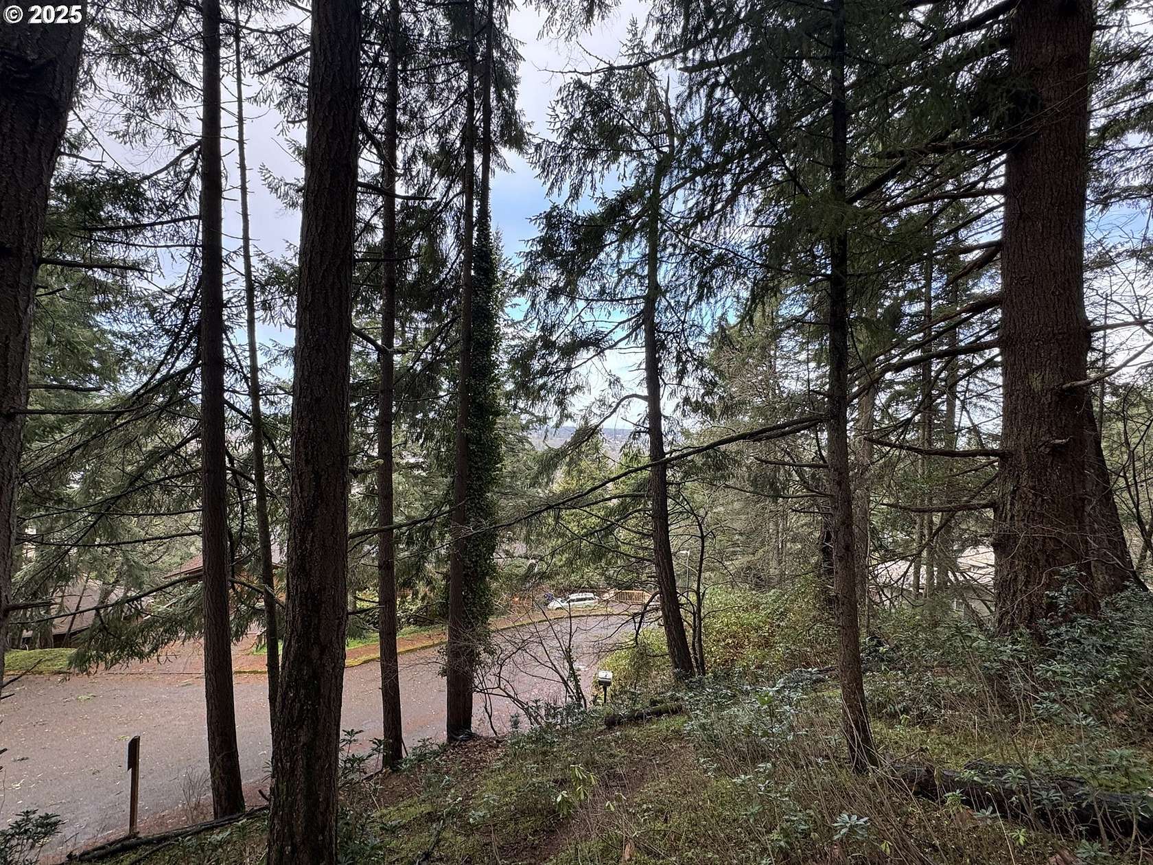 0.31 Acres of Residential Land for Sale in Eugene, Oregon