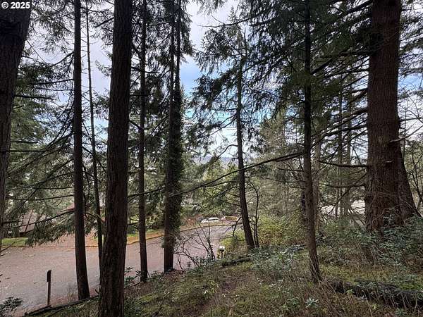 0.31 Acres of Residential Land for Sale in Eugene, Oregon