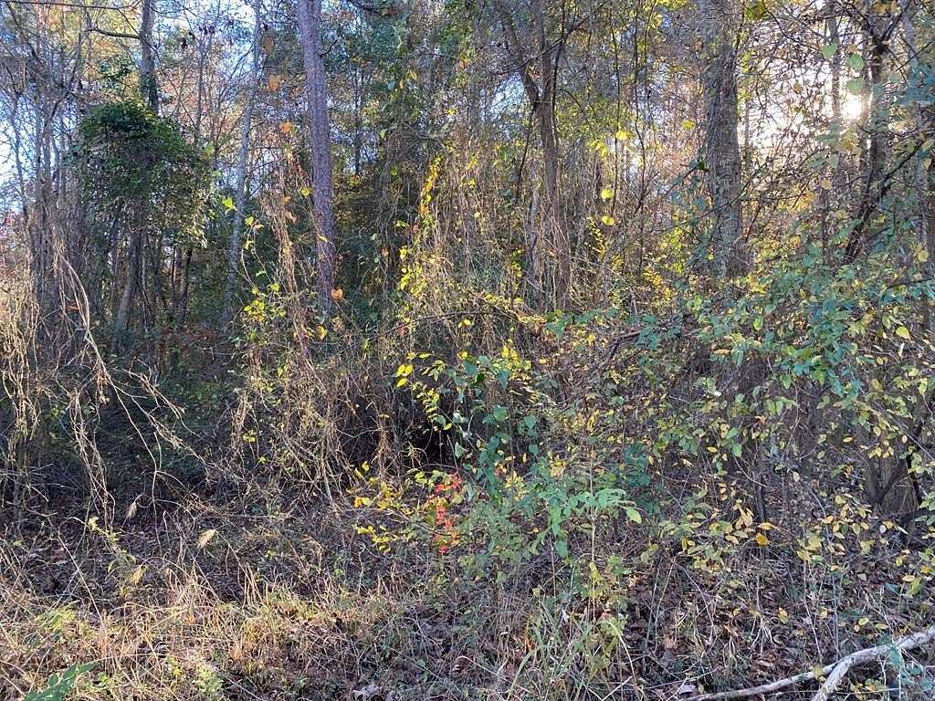 0.13 Acres of Land for Sale in Huntington, Texas