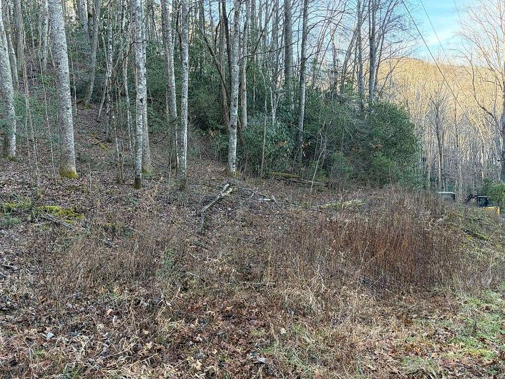 2.54 Acres of Residential Land for Sale in Topton, North Carolina