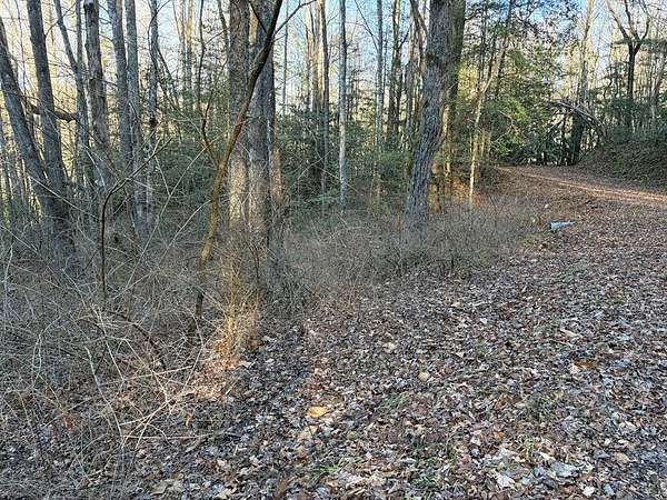 2.54 Acres of Residential Land for Sale in Topton, North Carolina
