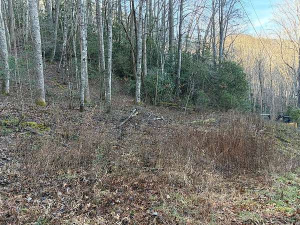 2.54 Acres of Residential Land for Sale in Topton, North Carolina