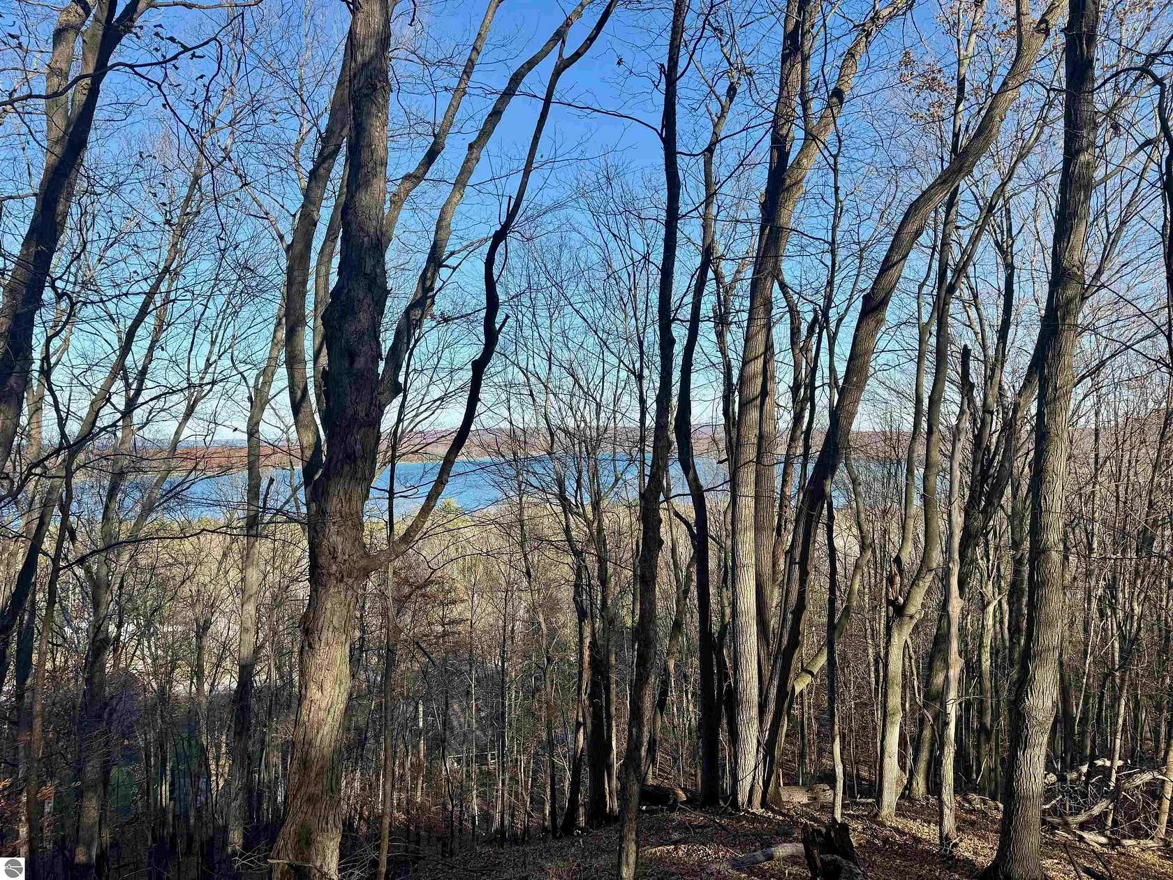 11.6 Acres of Land for Sale in Maple City, Michigan