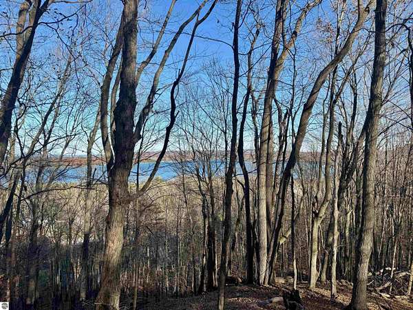 11.6 Acres of Land for Sale in Maple City, Michigan