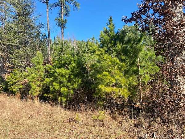 18.6 Acres of Recreational Land for Sale in Farnham, Virginia