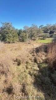 0.27 Acres of Residential Land for Sale in Somerville, Texas
