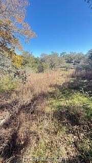 0.27 Acres of Residential Land for Sale in Somerville, Texas