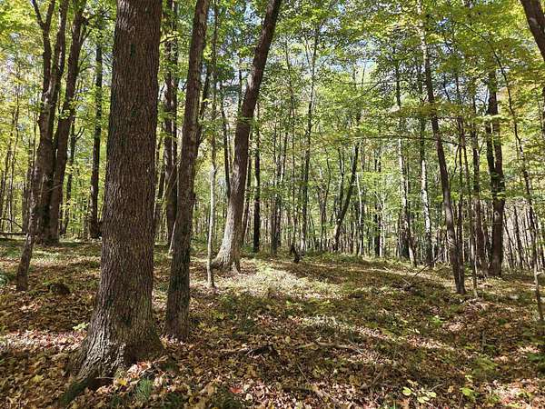 5 Acres of Recreational Land for Sale in Kennan, Wisconsin
