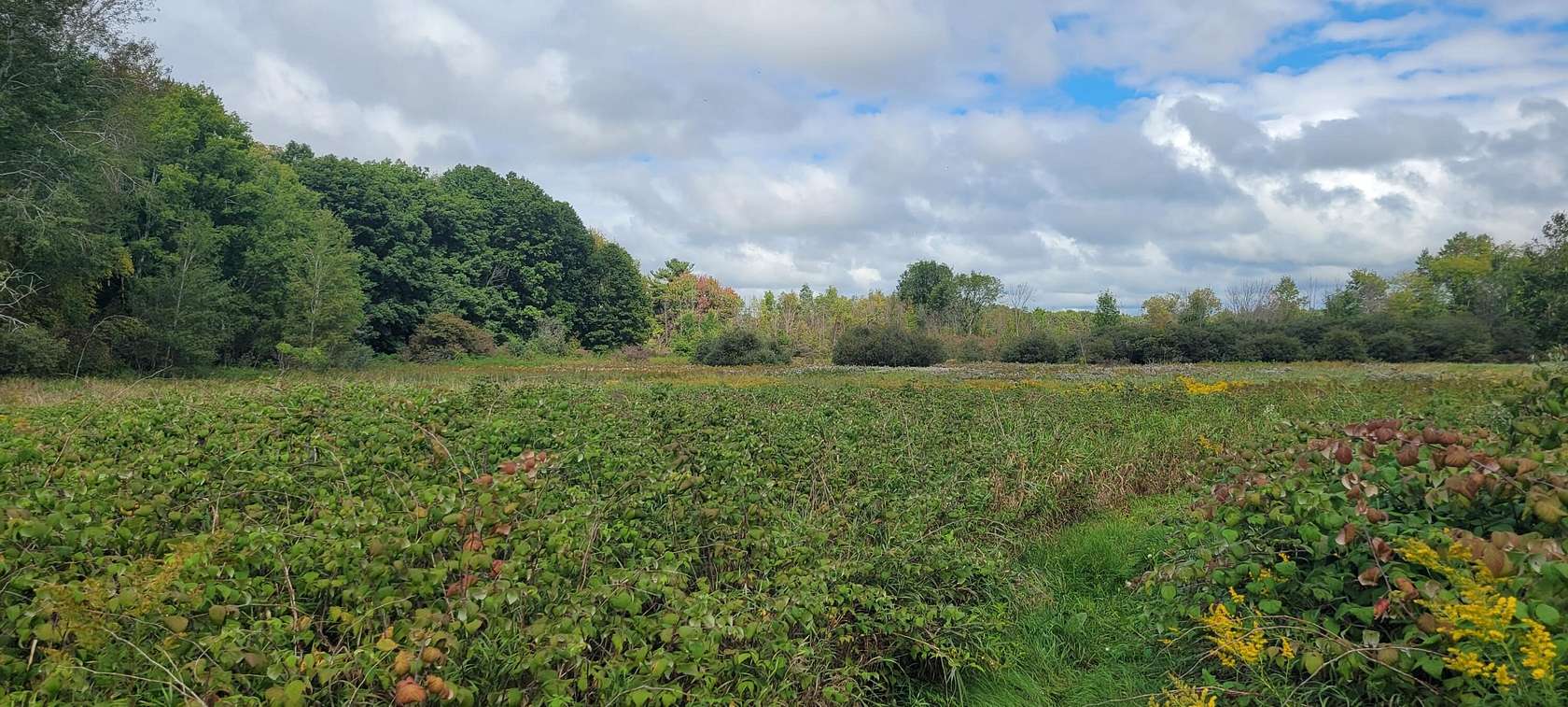 41 Acres of Land for Sale in Ludington, Michigan