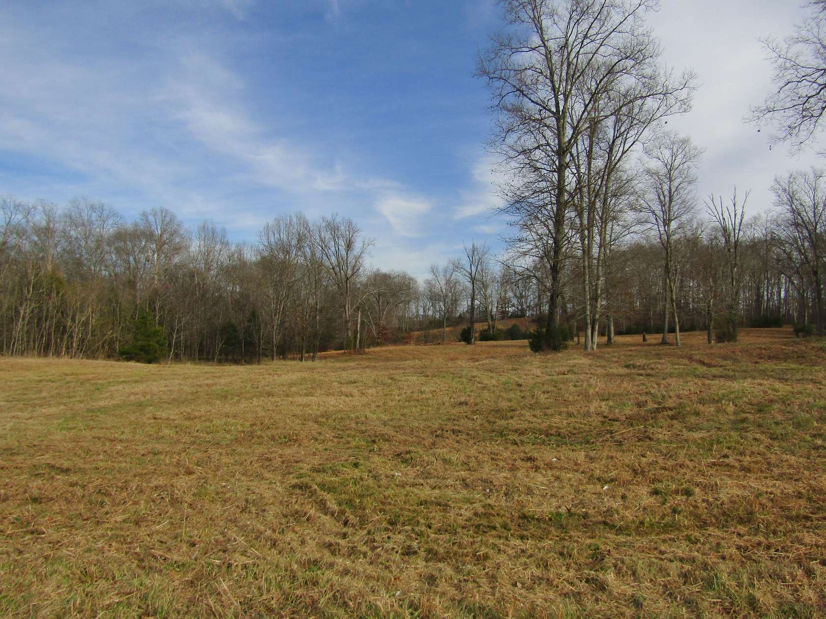 17.3 Acres of Land for Sale in Lewisburg, Tennessee