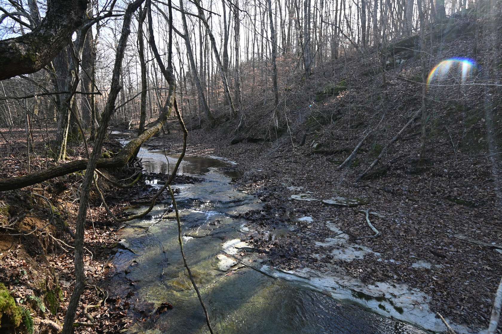 3.27 Acres of Residential Land for Sale in Linden, Tennessee