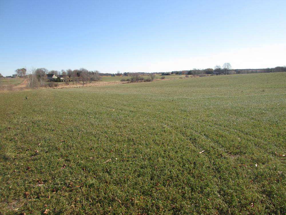 74.2 Acres of Agricultural Land for Auction in Stratford, Wisconsin