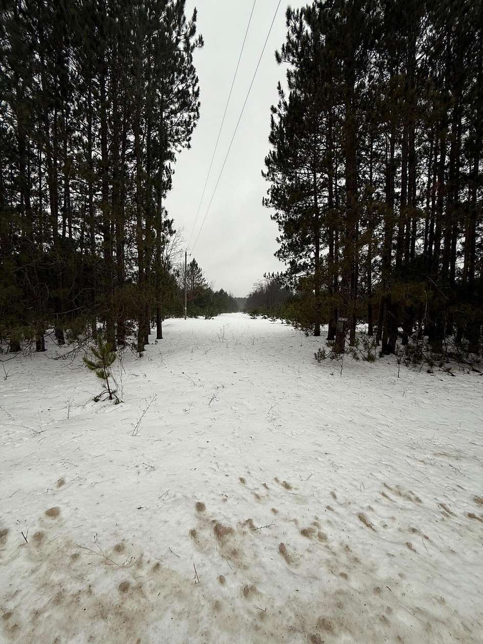 Land for Sale in Bear Lake, Michigan