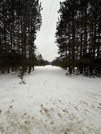 Land for Sale in Bear Lake, Michigan