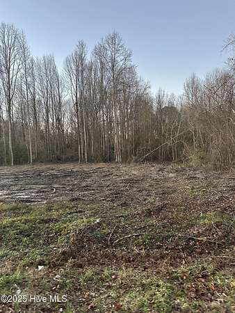 0.69 Acres of Residential Land for Sale in Bailey, North Carolina