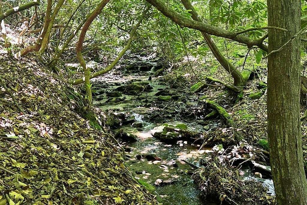 1.3 Acres of Land for Sale in Hayesville, North Carolina