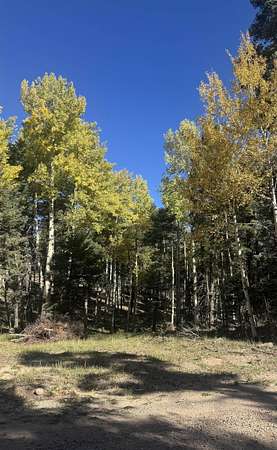 0.88 Acres of Residential Land for Sale in Angel Fire, New Mexico