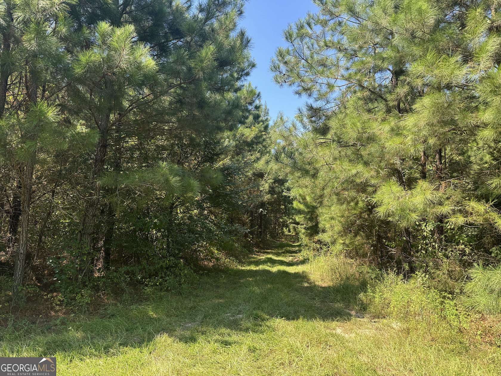 14 Acres of Land for Sale in Tallassee, Alabama