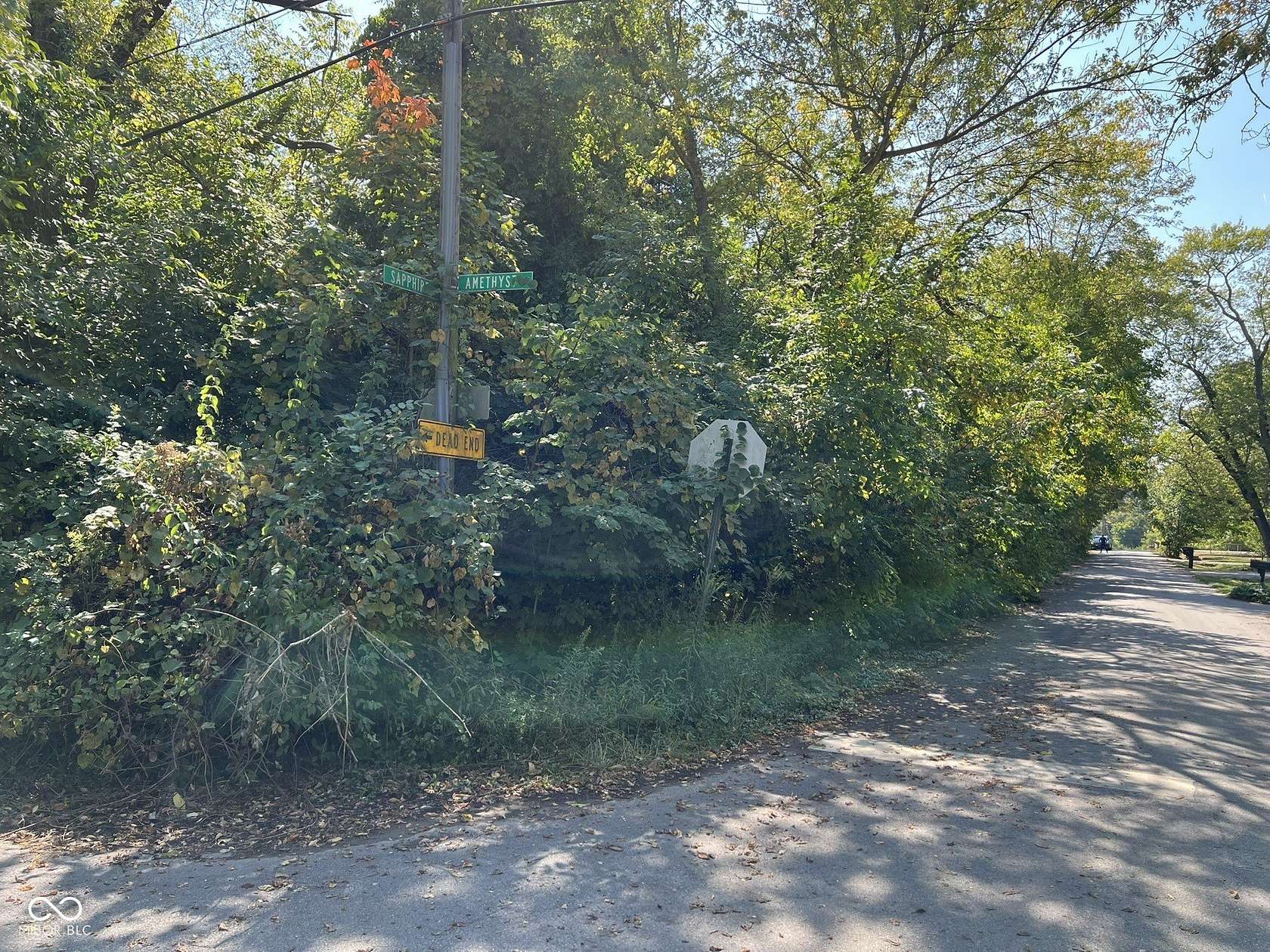 0.12 Acres of Residential Land for Sale in Indianapolis, Indiana