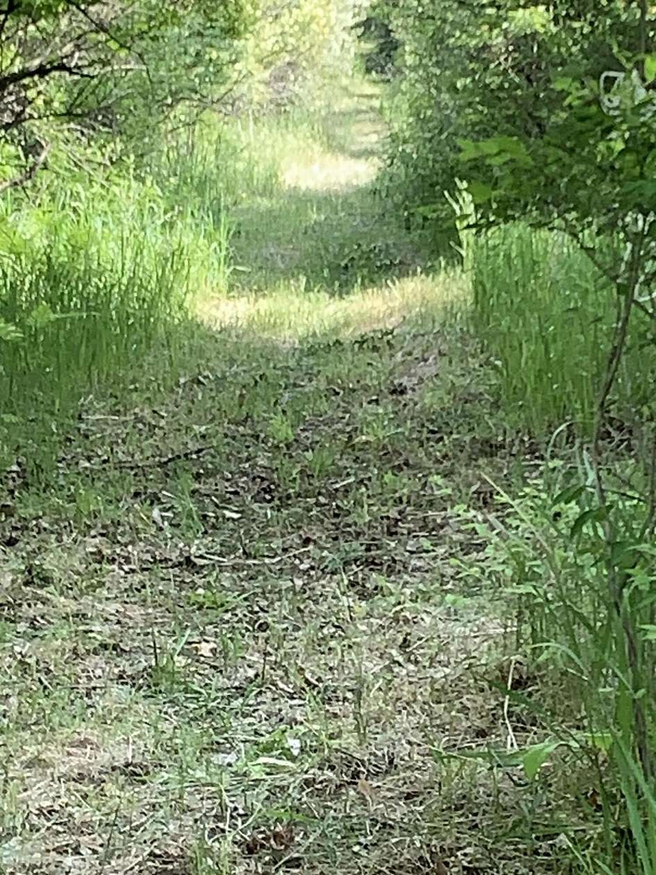 2.42 Acres of Land for Sale in Remus, Michigan