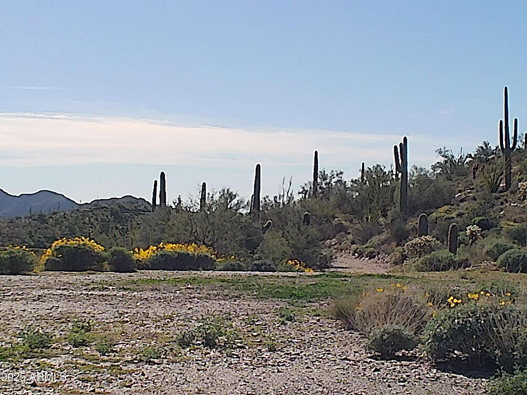 10 Acres of Recreational Land for Sale in Queen Valley, Arizona