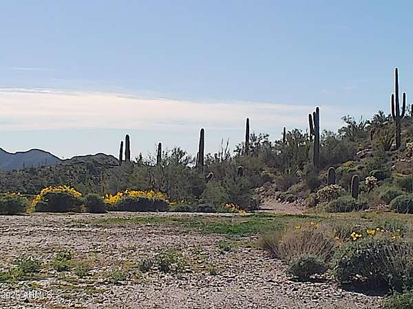 10 Acres of Recreational Land for Sale in Queen Valley, Arizona