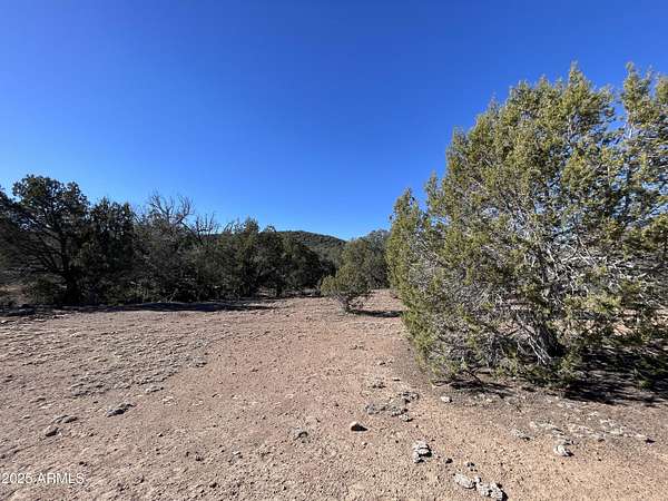 40.1 Acres of Recreational Land for Sale in Williams, Arizona