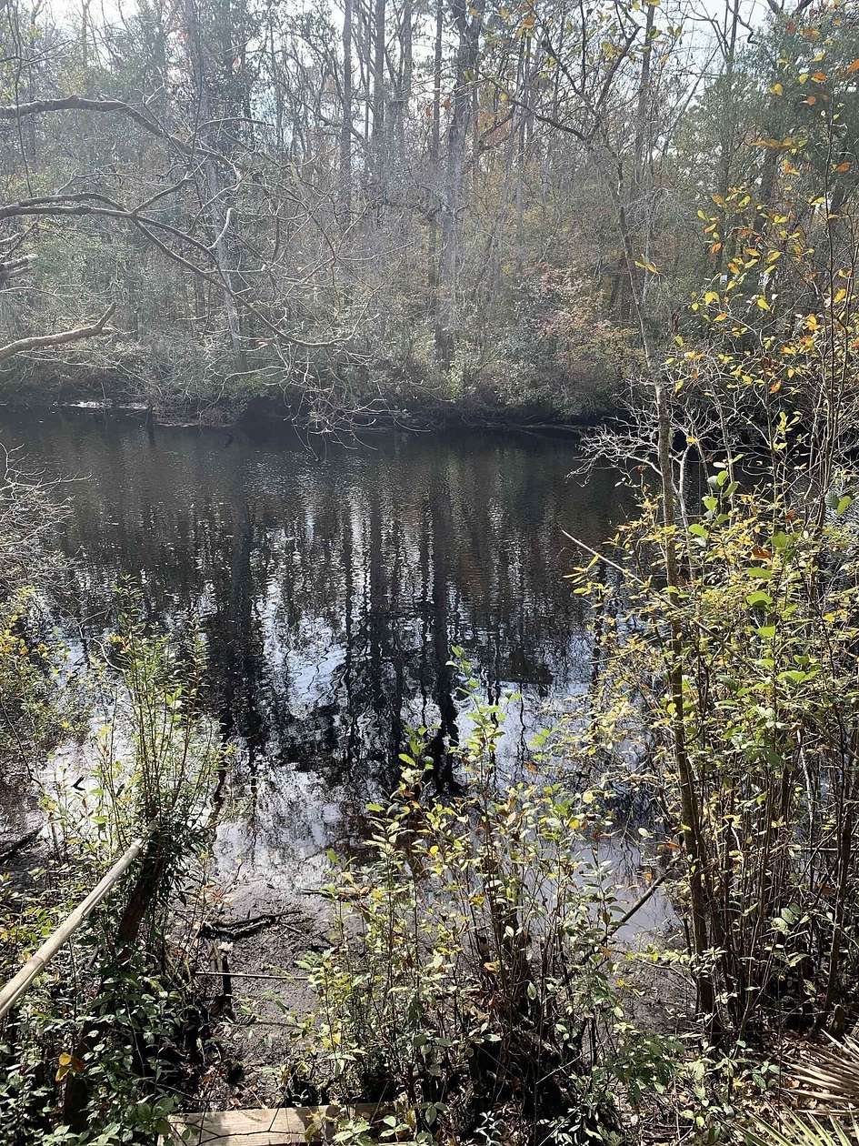 8.85 Acres of Land for Sale in Sopchoppy, Florida