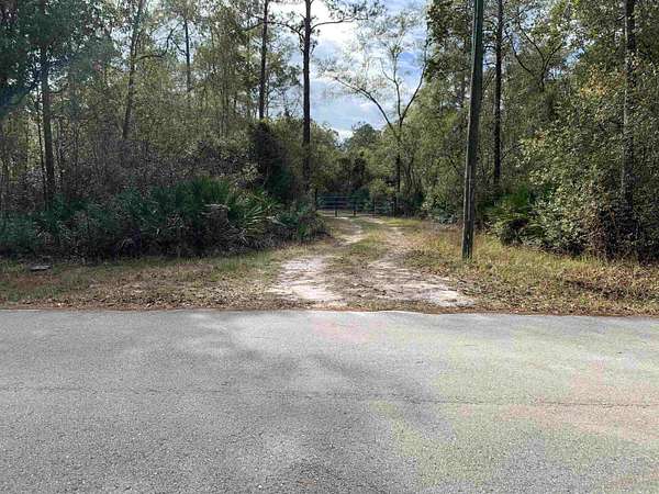 10 Acres of Land for Sale in Sopchoppy, Florida
