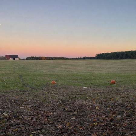 80 Acres of Recreational Land & Farm for Sale in Mecosta, Michigan