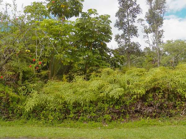 0.19 Acres of Residential Land for Sale in Pahoa, Hawaii