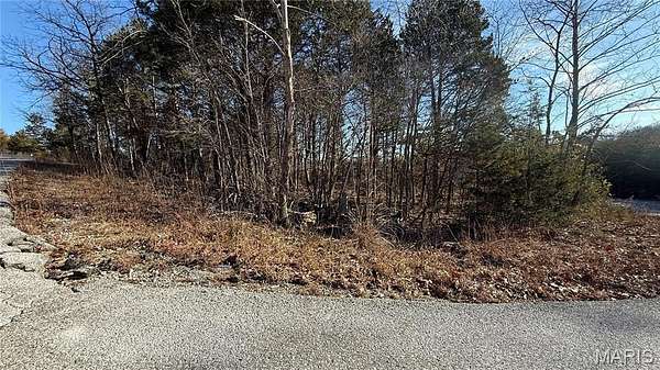 0.31 Acres of Residential Land for Sale in Hillsboro, Missouri