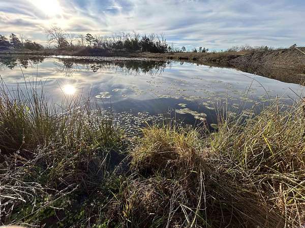 50.2 Acres of Agricultural Land for Sale in Mena, Arkansas