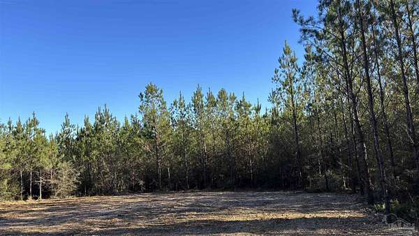 2.29 Acres of Residential Land for Sale in Allentown, Florida